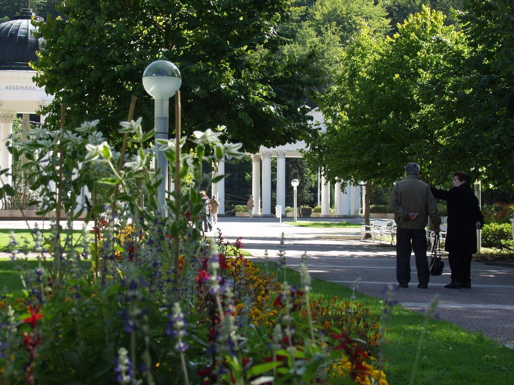 Apartma La Provence Mariańskie Łaźnie Zewnętrze zdjęcie