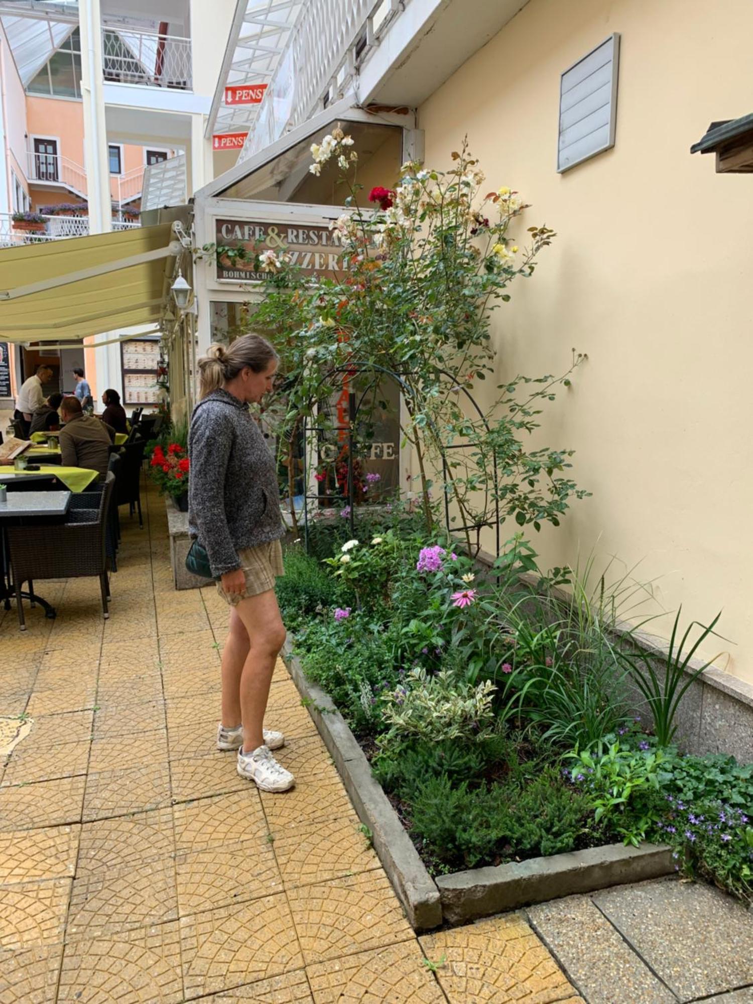 Apartma La Provence Mariańskie Łaźnie Zewnętrze zdjęcie